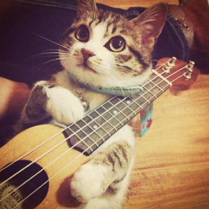 仙帝H污肉一夜没拔
